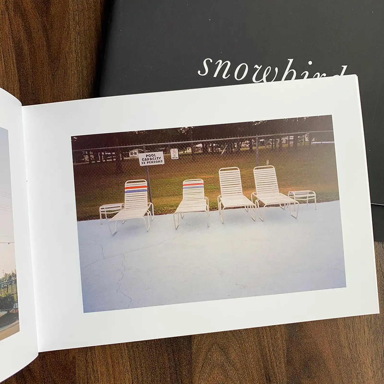 Thumbnail: Snowbird by Kyle McDougall