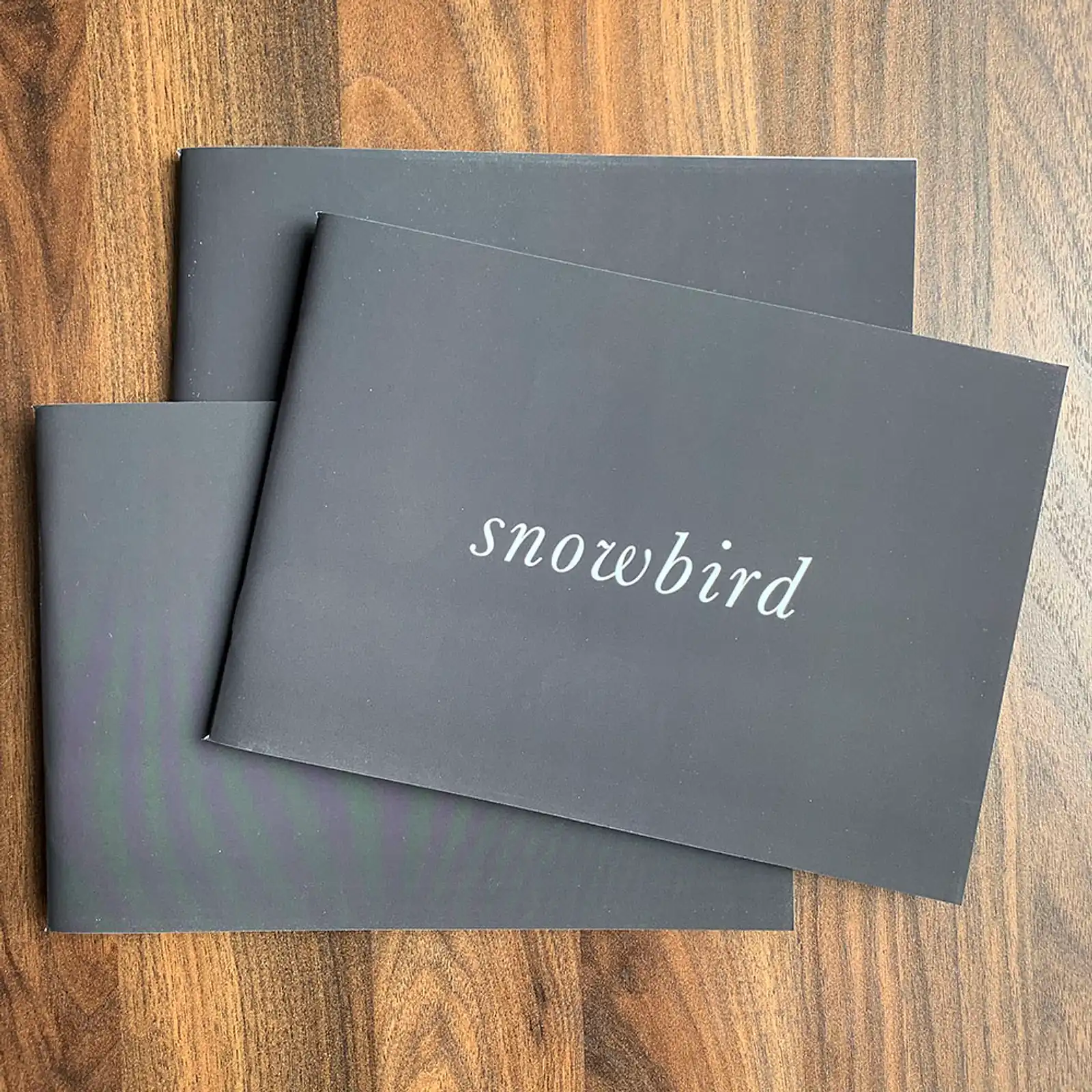 Thumbnail: Snowbird by Kyle McDougall