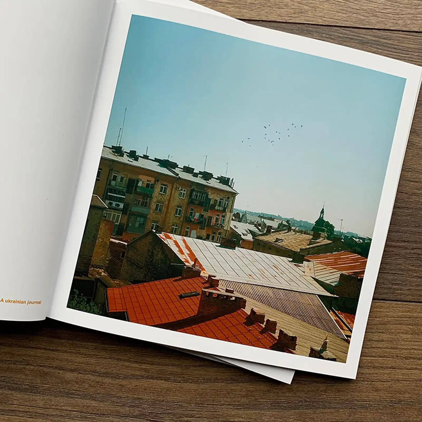 Thumbnail: A Ukrainian Journal by Roberto Vitali 
