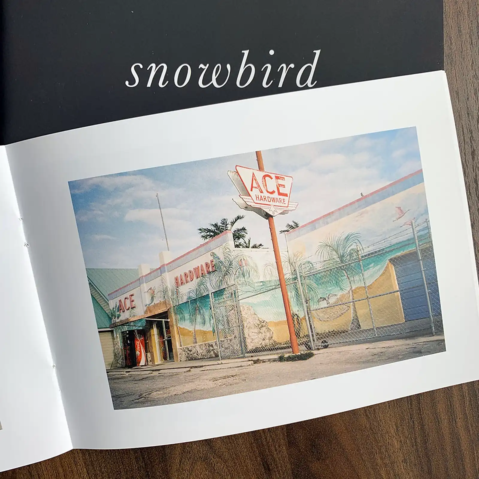 Thumbnail: Snowbird by Kyle McDougall