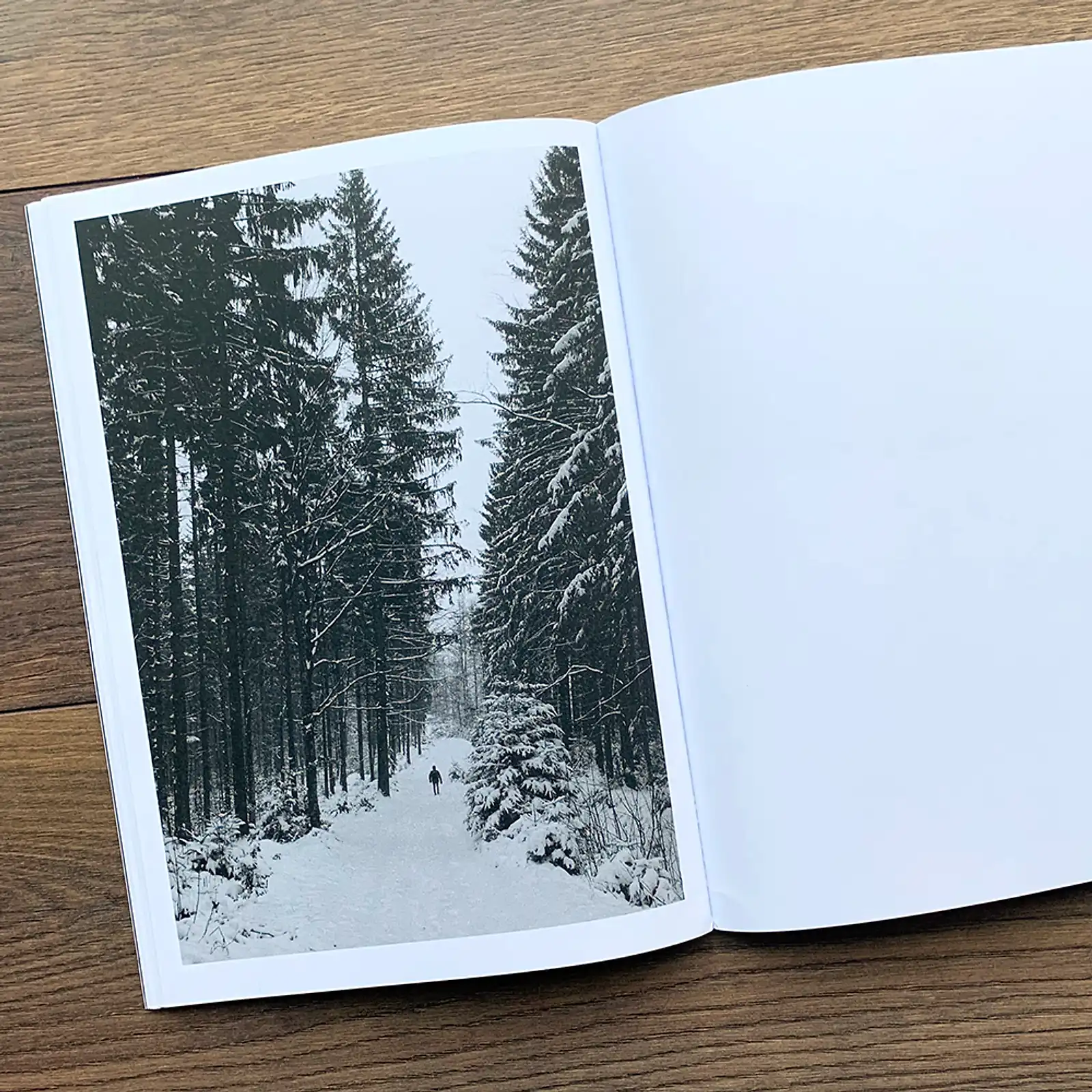 Thumbnail: Carpathians by Alessandro Iotti & Davide Soldarini