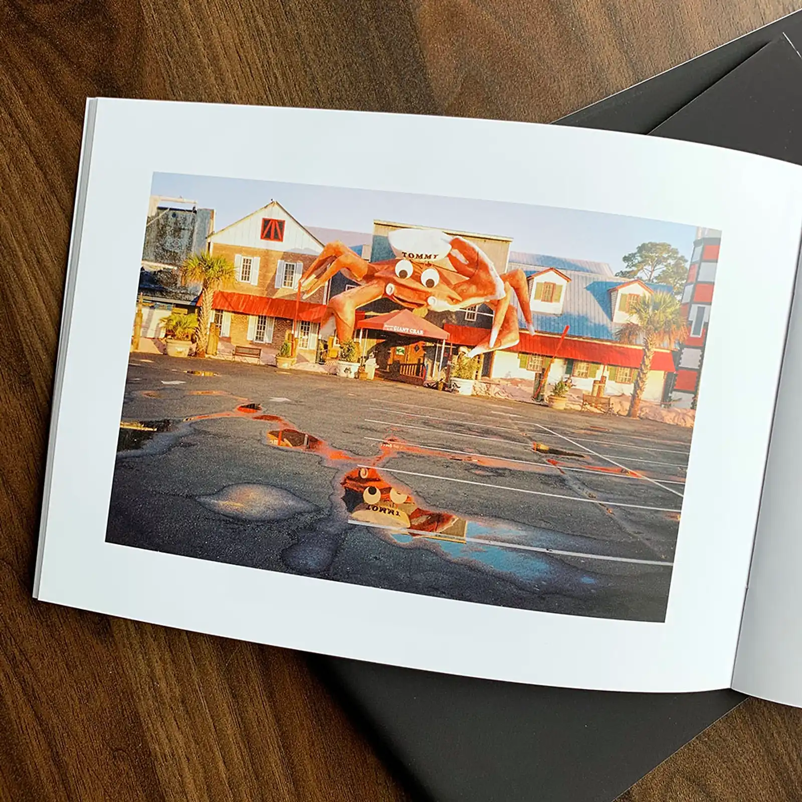 Thumbnail: Snowbird by Kyle McDougall