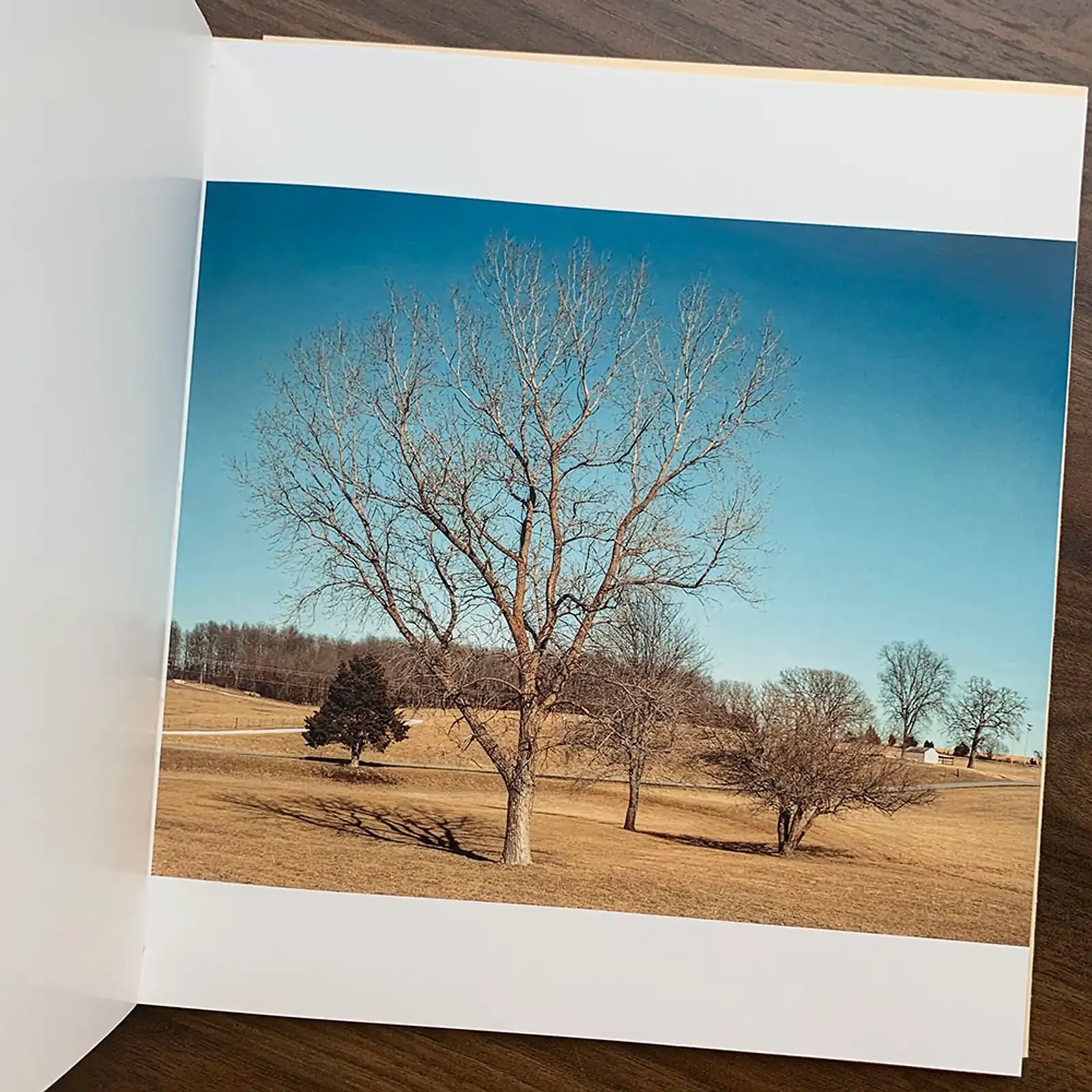 Thumbnail: Barry Phipps - The Exuberance Phase: Selected 8x10 Works.