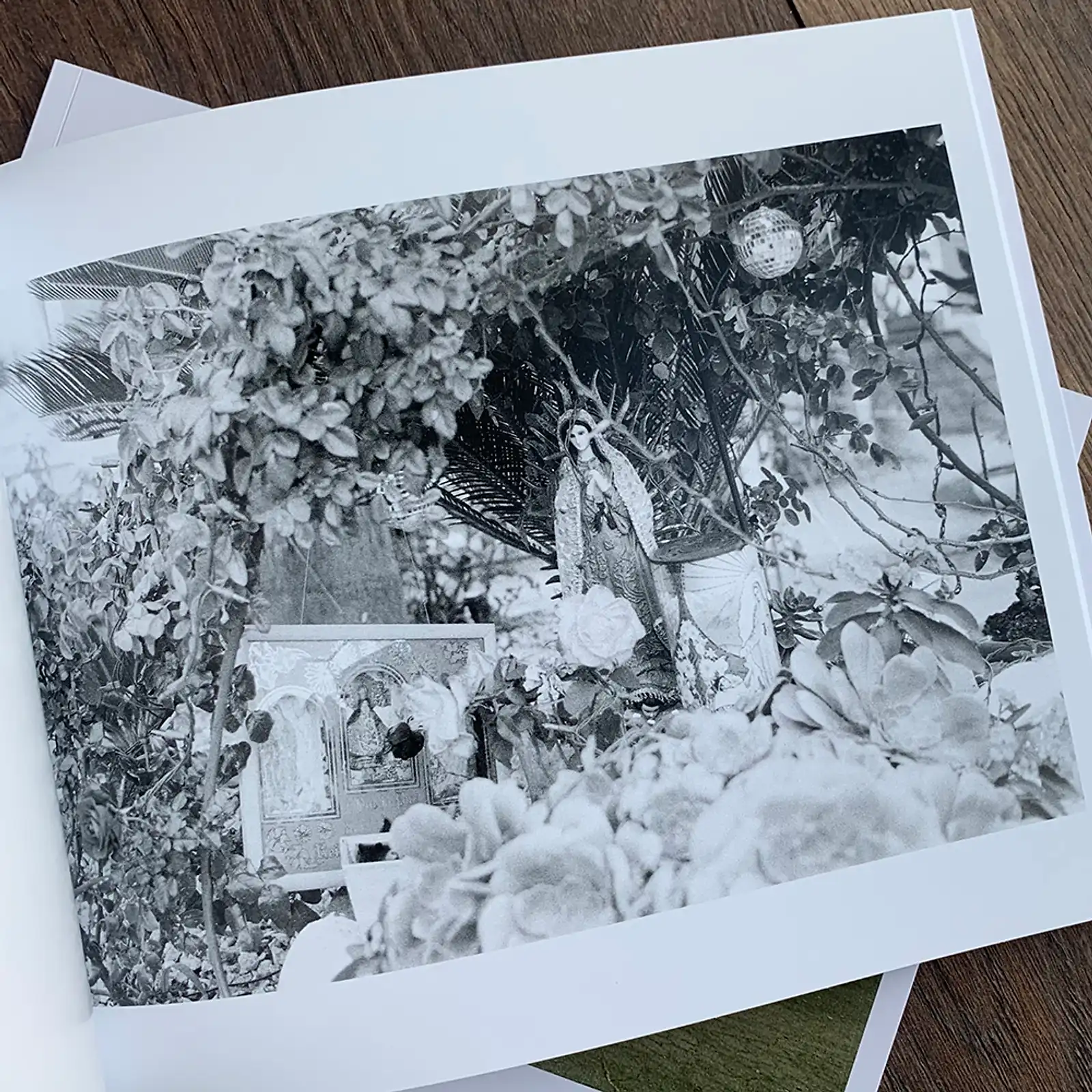 Thumbnail: Breaking Camp by Brandon Lasko